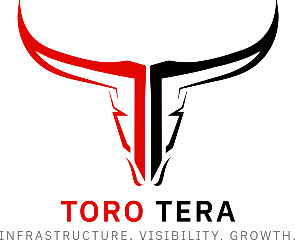 ToroTera_Primary_Light_RGB_300ppi