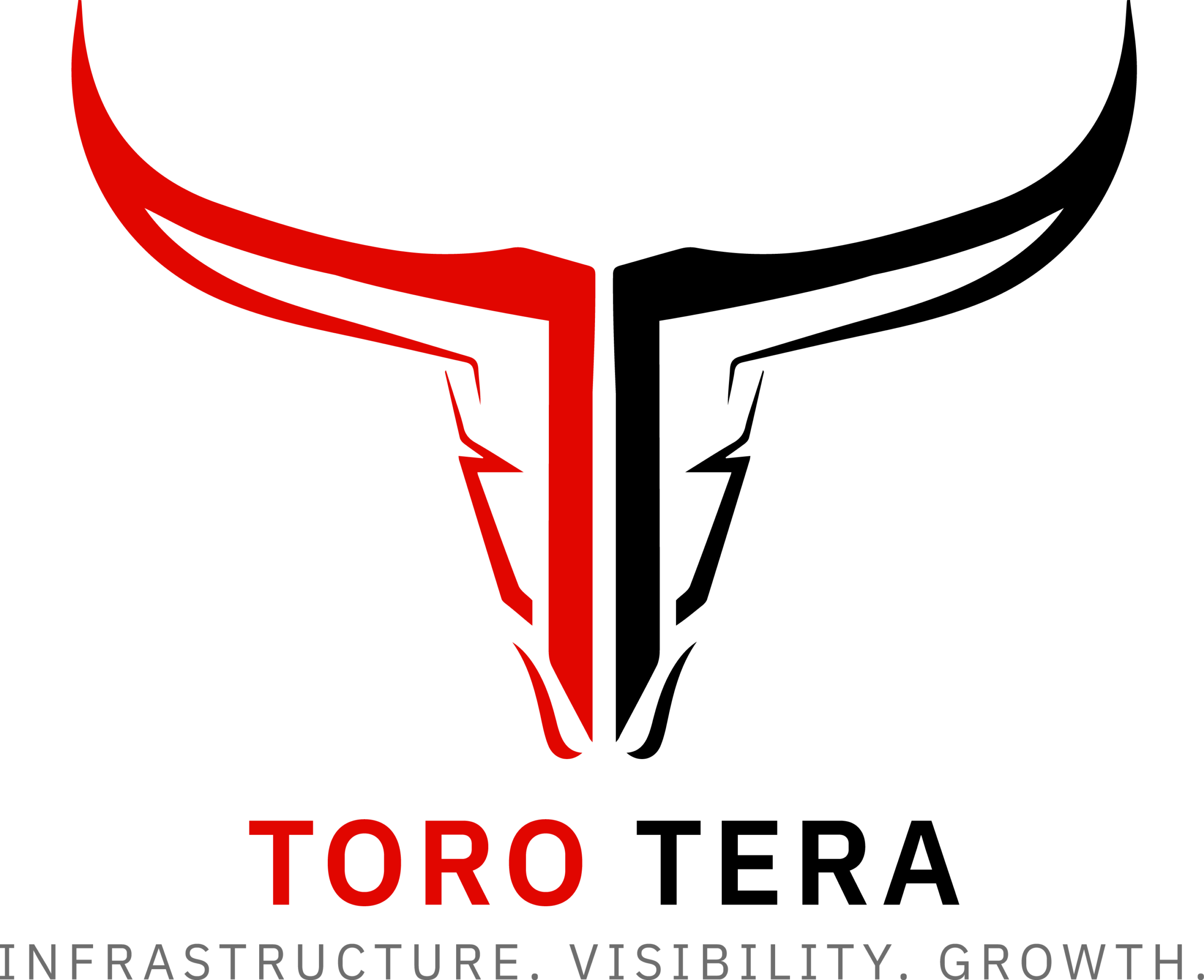 ToroTera_Primary_Light_RGB_300ppi
