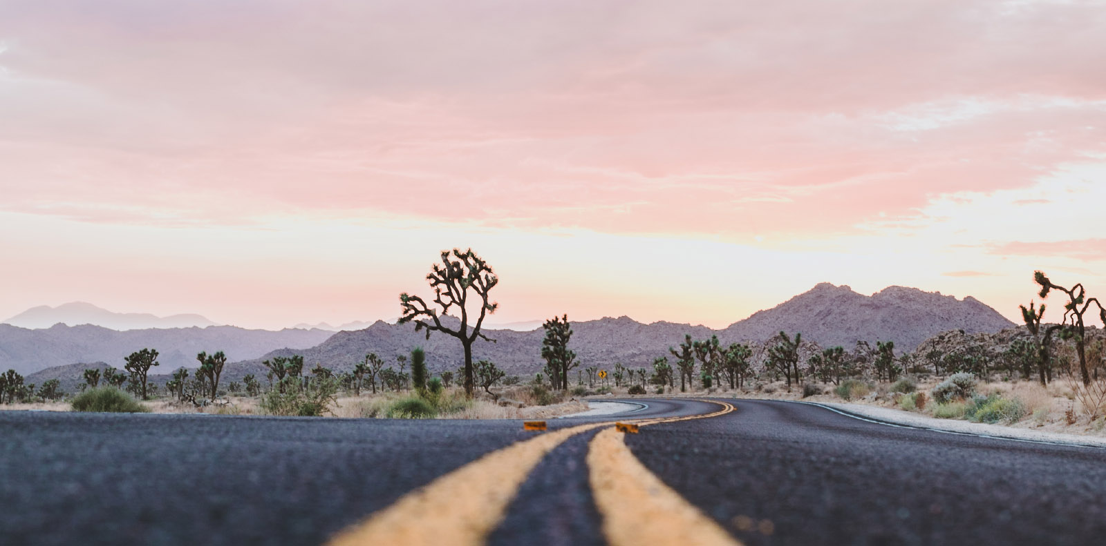 Road,Less,Traveled,,Low,Angle,Viewing,The,Yellow,Double,Lines