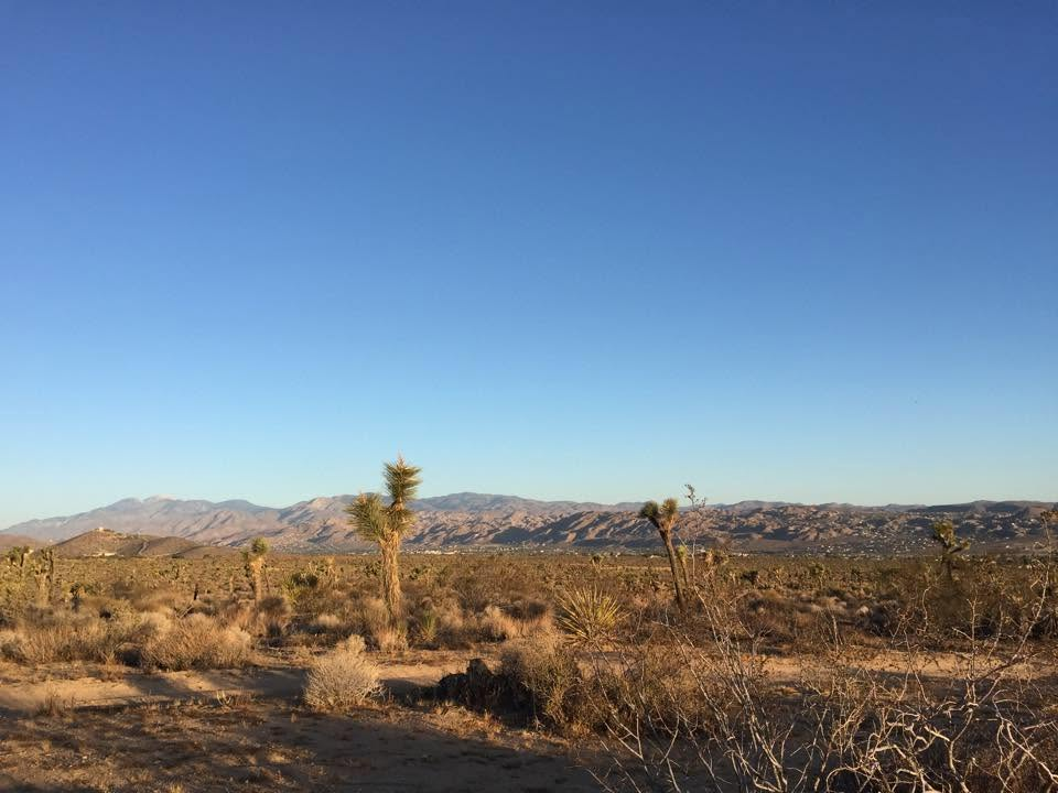 Coldwell-Banker-Roadrunner-bg.webp